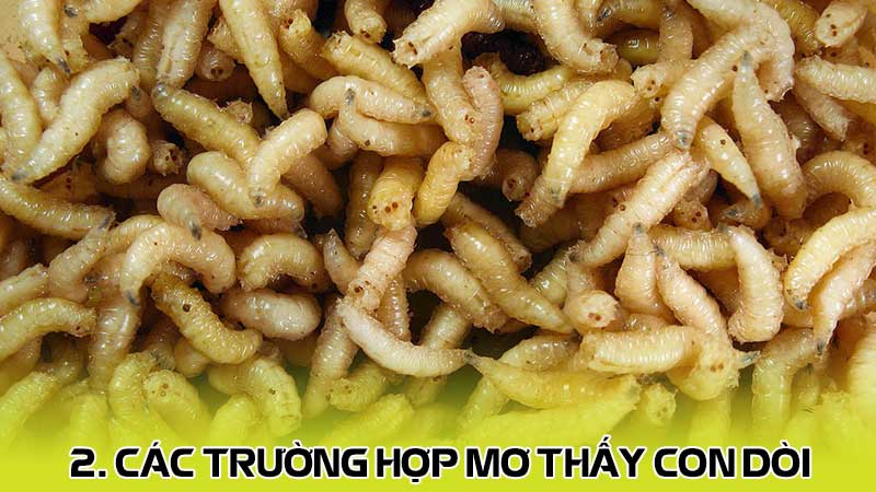 2. Các trường hợp mơ thấy con dòi